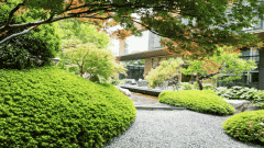 都怀揣着对抱负居