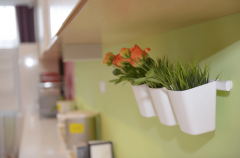 （）健康科技无限